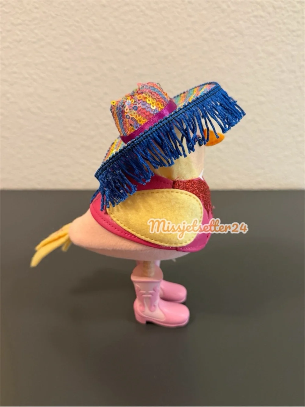 Target Featherly Friends PRIDE Chappell Roan Cowgirl Bird New Western Rainbow
